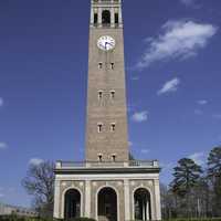 Clock Tower among hedges in University of North Carolina, Chapel Hill