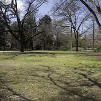 Empty Space in the Garden at UNC Chapel Hill, North Carolina