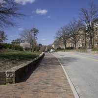 Road on the Campus of UNC Chapel Hill, North Carolina