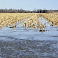 Farmland being flooded by Missouri and Red Rivers in North Dakota