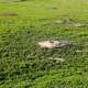 Close-up of prairie dog holes at Theodore Roosevelt National Park, North Dakota