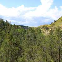 Clouds over the forest at Theodore Roosevelt National Park, North Dakota