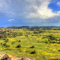 Grasslands and Prairie landscape at Theodore Roosevelt National Park, North Dakota