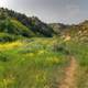 Hiking path through the grass at Theodore Roosevelt National Park, North Dakota