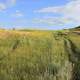 Hiking trail on a clear day at Theodore Roosevelt National Park, North Dakota