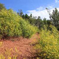 Hiking trail at Theodore Roosevelt National Park, North Dakota