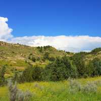 Hills, trees, and sky at Theodore Roosevelt National Park, North Dakota