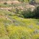 Landscape from the hiking trail at Theodore Roosevelt National Park, North Dakota