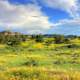 landscape in the valley at Theodore Roosevelt National Park, North Dakota