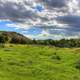 Landscape of grasslands and hills