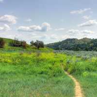 Path through the wilderness at Theodore Roosevelt National Park, North Dakota