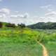 Path through the wilderness at Theodore Roosevelt National Park, North Dakota