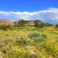 Prairie and Hills at Theodore Roosevelt National Park, North Dakota