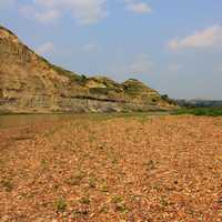 Riverbank at Theodore Roosevelt National Park, North Dakota