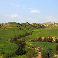 Trees and hills at Theodore Roosevelt National Park, North Dakota