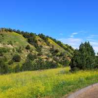 Besides the roadway at Theodore Roosevelt National Park, North Dakota