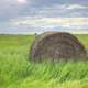 Hay Barrel on the fields at White Butte, North Dakota
