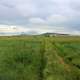 Trail to the Butte at White Butte, North Dakota