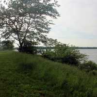 Scenic Lake View at Buck Creek State Park