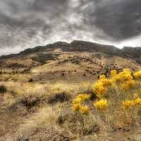 ABERT RIM PANORAMIC-FREMONT WINEMA