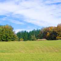 Cape Horn trail fall colors