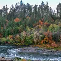 Fall Scenery on the North Umpqua River