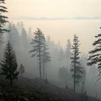 Smoke from the Taylor Fire sets into an inversion and envelops the Rogue River-Siskiyou National Forest, Oregon. (Forest Service photo by Cecilio Ricardo)