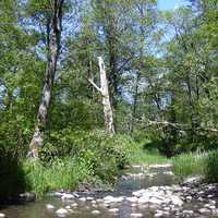 Johnson Creek in Gresham, Oregon