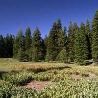 Landscape of Mill Creek in Oregon