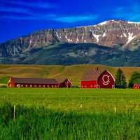 Landscape of the farm with mountains behind in Oregon