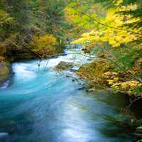 McKenzie River in the fall in Oregon