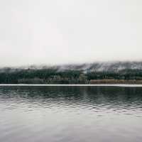 Mist over the forest and trees in Oregon