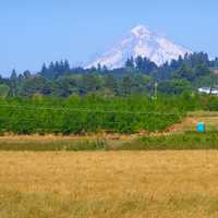 Mount Hood as seen from Molalla Forest Road in Canby, Oregon