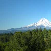 Mount Hood Rising beyond the forest in Oregon