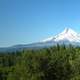 Mount Hood Rising beyond the forest in Oregon