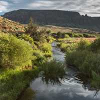 North Fork Owyhee in Oregon