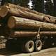 Pine Logs on a truck in Burns, Oregon