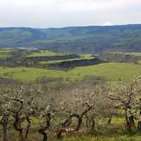 Scenic View from McCall Point, Oregon