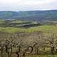 Scenic View from McCall Point, Oregon