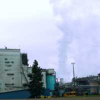 Weyerhaeuser facility in Millersburg, Oregon