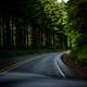 Winding Roadway in Oregon