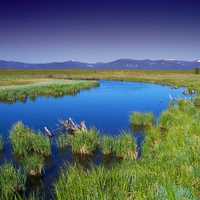 Wood River Landscape in Oregon