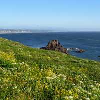 Yaquina Head Natural Area on the Oregon Coast