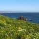 Yaquina Head Natural Area on the Oregon Coast