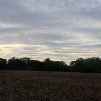 Late sun at Eerie Bluffs State Park, Pennsylvania