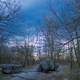 Forest under Cloudy Skies at Mount Davis, Pennsylvania