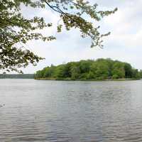 Island at Promised Land State Park, Pennsylvania