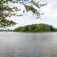 Island at Promised Land State Park, Pennsylvania