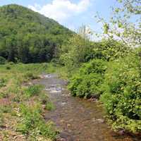Creek View at Sinnemahoning State Park, Pennsylvania