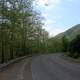 Curving Roadway at Sinnemahoning State Park, Pennsylvania